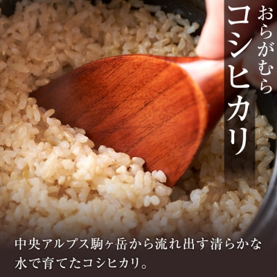 【先行受付】【令和7年米】長野県宮田村産コシヒカリ/玄米/20kg/11月配送