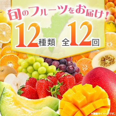【12回定期便】南国宮崎産人気フルーツ詰め合わせ(Cコース M300)
