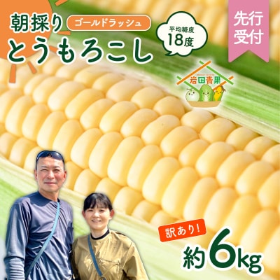 【先行受付】6月中旬以降発送【訳あり】朝採り とうもろこし ゴールドラッシュ 約6kg 数量限定