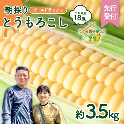 【先行受付】6月中旬以降発送 朝採り とうもろこし ゴールドラッシュ 約3.5kg[AX058ya]