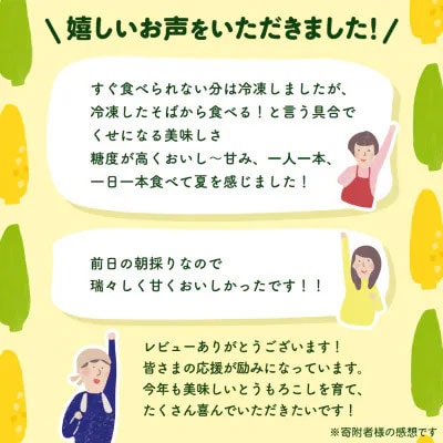 2026年6月中旬以降発送 朝採り とうもろこし ゴールドラッシュ 約6kg (約13～15本入)