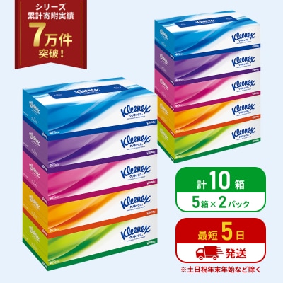 ティッシュ クリネックス ティシュー 5箱入×2P ティッシュペーパー[No.5704-1034]