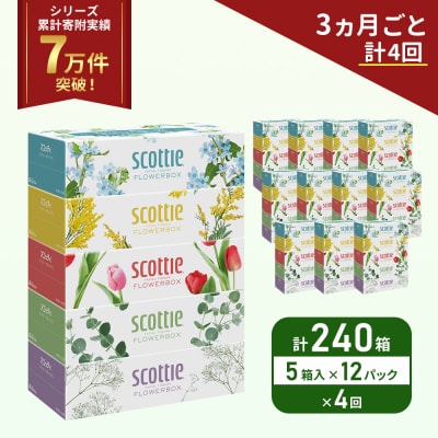定期便 ティッシュ スコッティ240箱 (5箱×12P)《計4回》[No.5704-1138]