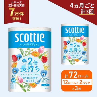 定期便 トイレットペーパー シングル 2倍長持ち 72R《計3回》[No.5704-1171]