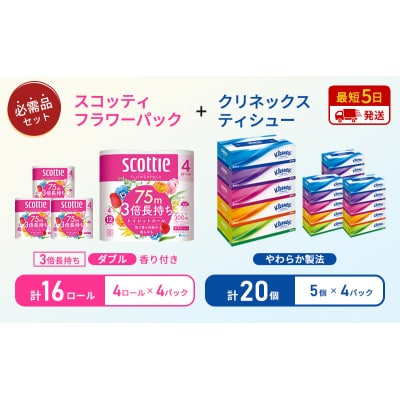 ティッシュ+トイレットペーパー4P   [No.5704-1778]