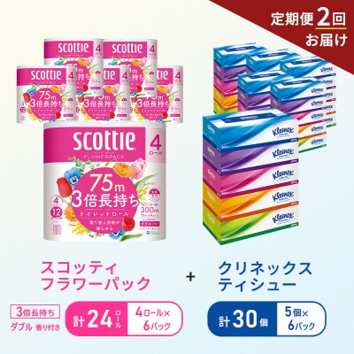 【6ヶ月ごと計2回お届け】ティッシュ+トイレットペーパー6P   [No.5704-1781]