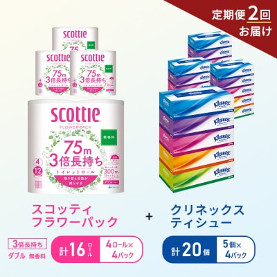 【6ヶ月ごと計2回お届け】ティッシュ+トイレットペーパー無香料4P[No.5704-1785]