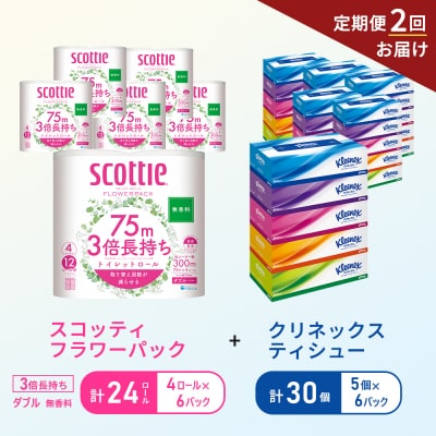 【6ヶ月ごと計2回お届け】ティッシュ+トイレットペーパー無香料6P[No.5704-1787]