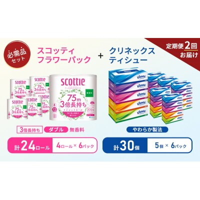 【6ヶ月ごと計2回お届け】ティッシュ+トイレットペーパー無香料6P[No.5704-1787]