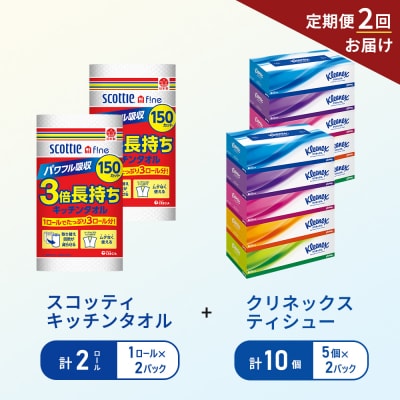【6ヶ月ごと計2回お届け】ティッシュ+キッチンペーパー2P[No.5704-1799]