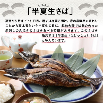 名水の里越前大野の「半夏生さば」1本×2箱