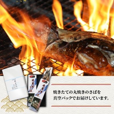 名水の里越前大野の「半夏生さば」1本×2箱