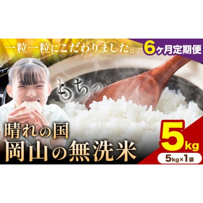 【6ヶ月定期便】晴れの国岡山の無洗米 5kg 岡山県産 矢掛町《申し込み翌月から発送》