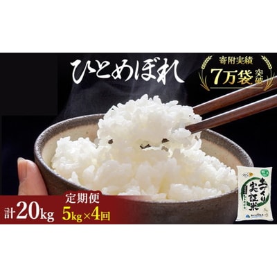 定期便4回 秋田県産 ひとめぼれ 5kg 計20kg 令和7年産[No.5685-2052]