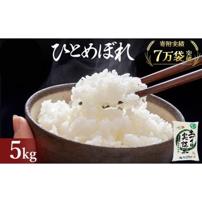 秋田県産 ひとめぼれ 5kg 令和7年産[No.5685-2051]