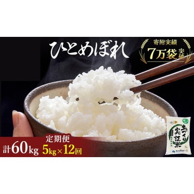 定期便12回 秋田県産 ひとめぼれ 5kg  計60kg 令和7年産[No.5685-2054]