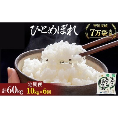 定期便6回 秋田県産 ひとめぼれ 10kg 計60kg 令和7年産[No.5685-2085]