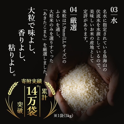 米 定期便 6ヶ月 あきたこまち 4kg 土づくり実証米 [No.5934-0798]
