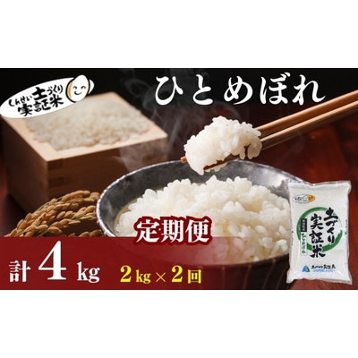 定期便2回 秋田県産 ひとめぼれ 2kg 計4kg 令和7年産[No.5934-0808]