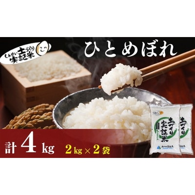 秋田県産 ひとめぼれ 4kg (2kg×2) 令和7年産[No.5934-0821]