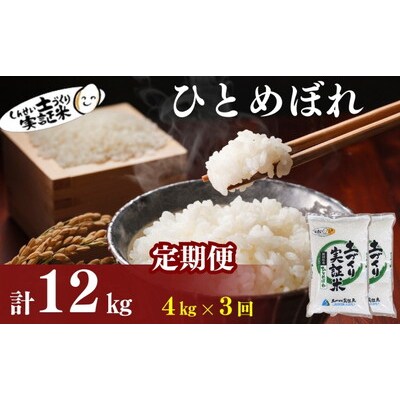 定期便3回 秋田県産 ひとめぼれ 4kg 計12kg 令和7年産[No.5934-0823]