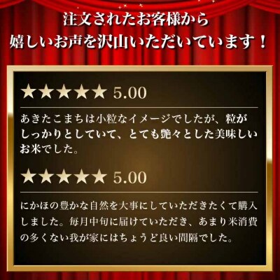 定期便 全12回 秋田県産 あきたこまち 4kg 計48kg 令和7年産[No.5934-0804]