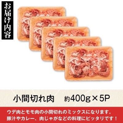 【訳あり】かごしま黒豚小間切れ肉ミックス(2kg・400g×5パック)　A02041
