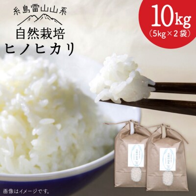 自然栽培 ヒノヒカリ 10kg 糸島市/大石ファーム [ATE002]