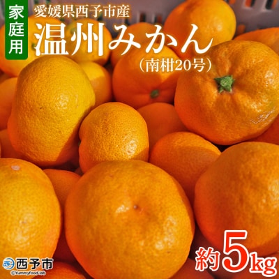 愛媛県西予市産　温州みかん (南柑20号)　家庭用5kg