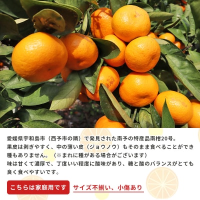 愛媛県西予市産　温州みかん (南柑20号)　家庭用5kg