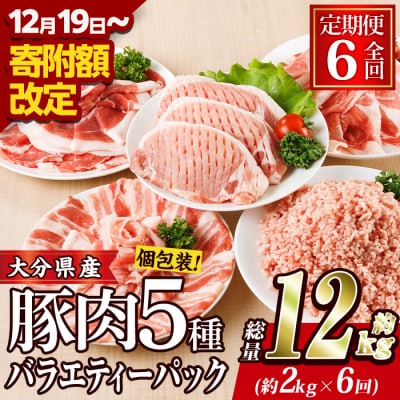 <定期便・全6回 (連続)>大分県産 豚肉 バラエティーパック (総量12kg・5種)