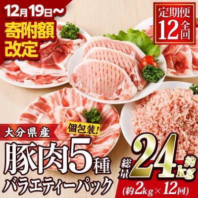 <定期便・全12回 (連続)>大分県産 豚肉 バラエティーパック (総量24kg・5種)