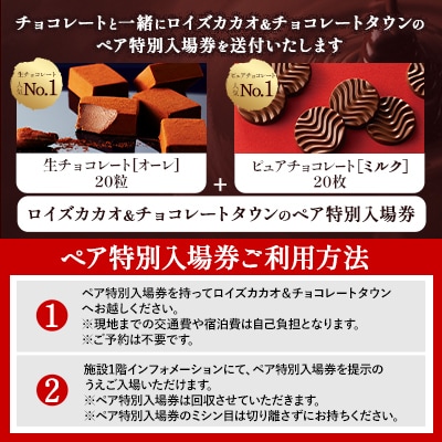 ロイズカカオ&チョコレートタウン ペア特別入場券付きROYCE’スイーツセット