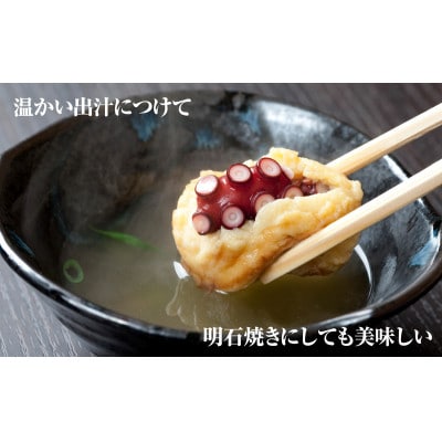 ほんのり昆布だし香る 大玉たこ焼き3kg(須恵町)
