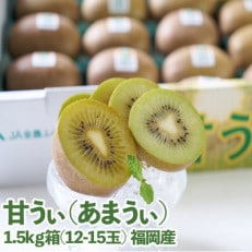 福岡限定!ブランドキウイ「甘うぃ(あまうぃ)」約1.5kg箱(12-15玉)(須恵町)