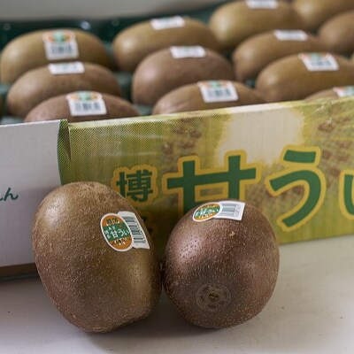 福岡限定!ブランドキウイ「甘うぃ(あまうぃ)」約1.5kg箱(12-15玉)(須恵町)