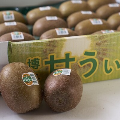 福岡限定!ブランドキウイ「甘うぃ(あまうぃ)」約3kg箱(24-30玉)(須恵町)