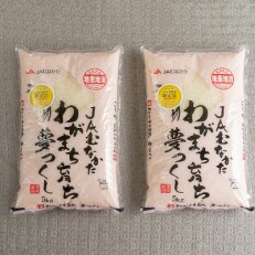 果物屋さんが選んだ米「夢つくし」10kg(須恵町)