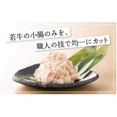 【毎月定期便】[ 博多もつ鍋 おおやま ]博多もつ鍋 しょうゆ味 3人前(須恵町)全6回