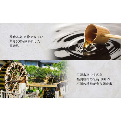 【毎月定期便】清広の さば寿司・炙りさば寿司 食べ比べセット(須恵町)全3回
