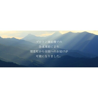 【毎月定期便】清広の推薦2種!食べ比べセット!(さば寿司・鮭寿司)(須恵町)全3回