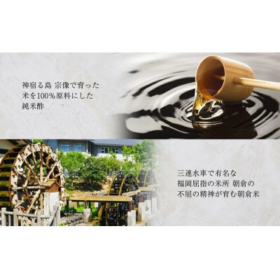 【毎月定期便】清広の厳選4種!食べ比べ!(さば寿司・炙りさば寿司・鮭寿司・鯛寿司)(須恵町)全3回