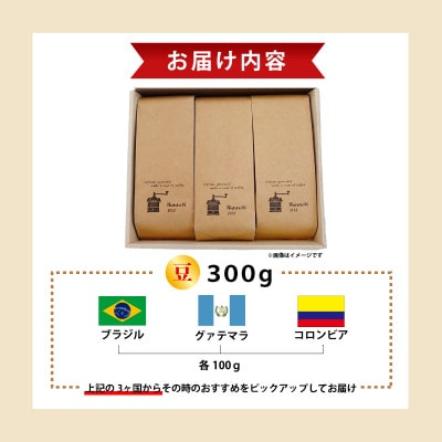 【Nanの木】自家焙煎スペシャルティコーヒー3種飲み比べセット (豆でお届け)[NK001-0]