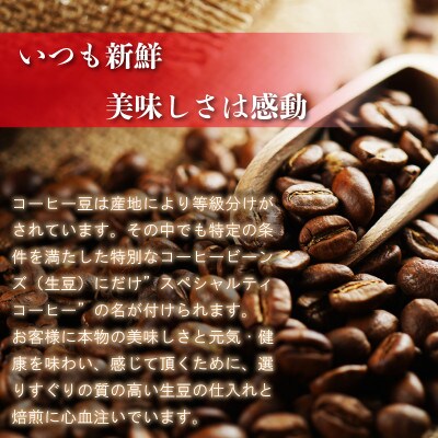 【Nanの木】自家焙煎スペシャルティコーヒー3種飲み比べセット (粉でお届け)[NK001-0]