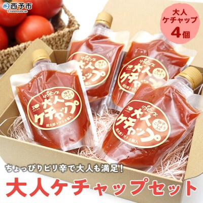 <ちょっぴりピリ辛で大人も満足!大人ケチャップ4個セット>　トマト　加工品　城川　チリソース　万能