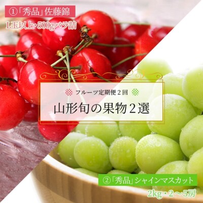 【2026年発送】【定期便2回】山形旬の果物2選(佐藤錦/シャインマスカット)_H180(R8)