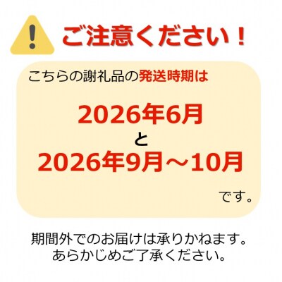 【2026年発送】【定期便2回】山形旬の果物2選(佐藤錦/シャインマスカット)_H180(R8)