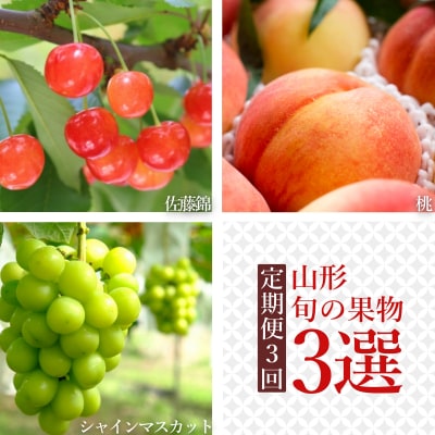 【2026年発送】【定期便3回】山形旬の果物3選(佐藤錦/桃/シャインマスカット)_H235(R8)