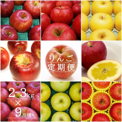 【2026年発送】【定期便9回】「秀品」りんご2～3kg×9種_H151(R8)