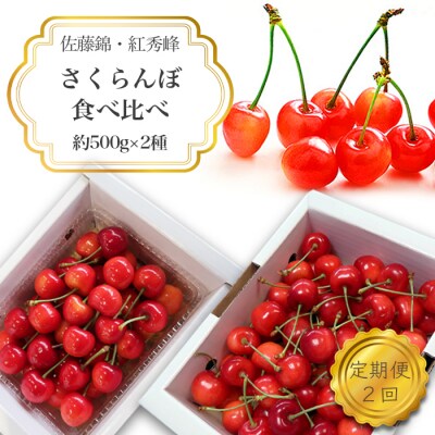 【2026年発送】【定期便2回】さくらんぼ約500g×2種_H176(R8)